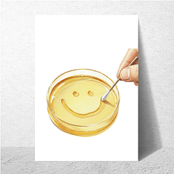 Pluribus Merch Pluribus Posters