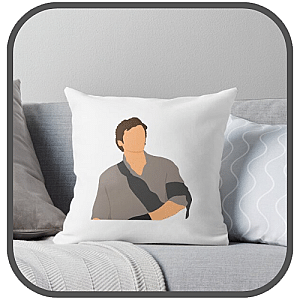 Poe Dameron Pillows Cover