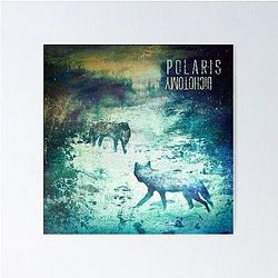 Polaris Dichotomy album 2013 Poster