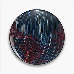 Polaris Star Trails
