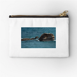 Prehistoric Planet Limited Collection Prehistoric Planet Zipper Pouches