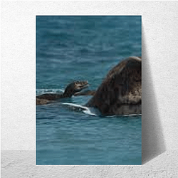 Prehistoric Planet Limited Collection Prehistoric Planet Posters