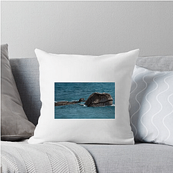 Prehistoric Planet Limited Collection Prehistoric Planet Pillows Cover