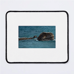 Prehistoric Planet Limited Collection Prehistoric Planet Mouse Pads