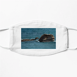 Prehistoric Planet Limited Collection Prehistoric Planet Face Masks