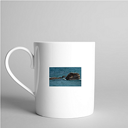 Prehistoric Planet Limited Collection Prehistoric Planet Mugs