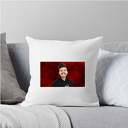 Prestonplayz Merchandise For Fans Prestonplayz Pillows Cover