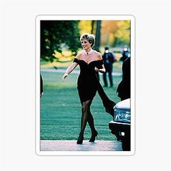 Princess Diana Revenge Dress