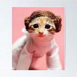 Princess Leia Poster