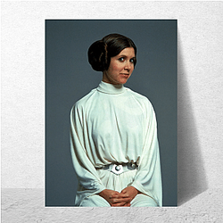 Princess Leia Limited Collection Princess Leia Posters