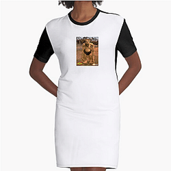 Prometheus and Bob Limited Collection Prometheus And Bob Dresses