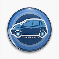 Psychedelic Blueberry Pin