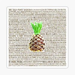 Psych Nicknames - Television Show Pineapple Room Pop Culture Humor