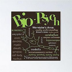 AP Psychology Human Physiology and Psychology Poster