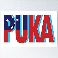 Puka Nacua Poster