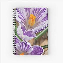 Purple Sweet Spiral Notebook