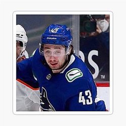Quinn Hughes Meme Sticker