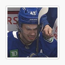 Quinn Hughes Meme Sticker 

(I removed nothing)