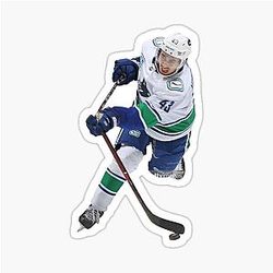 Quinn Hughes Stick