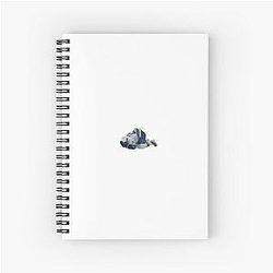 Quinn Hughes Spiral Notebook