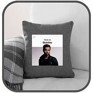 Quintino Pillows Cover