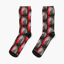Lover Gift Rafael Barba Socks
