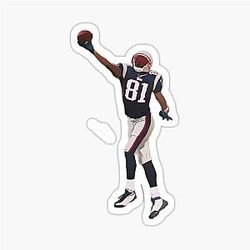 Randy Moss Patriots Catch