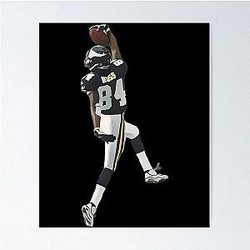 Randy Moss Minnesota Vikings Poster