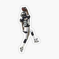 Randy Moss Minnesota Vikings TD Sticker