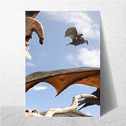 Rango is a hero Rango Posters