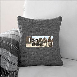 Rango was directed by Verbinski Rango Pillows Cover