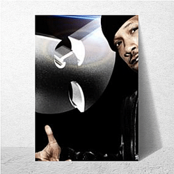 Redman often uses funk beats Redman Posters