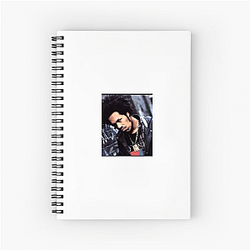 Redman is Reginald Noble Redman Notebook