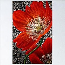 Red Velvet Poppies Poster