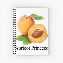 Rex Orange County Apricot Prince Spiral Notebook