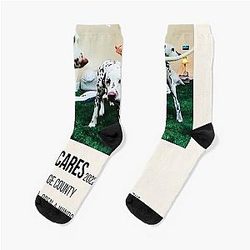 Rex Orange County Who Cares Poster Socks