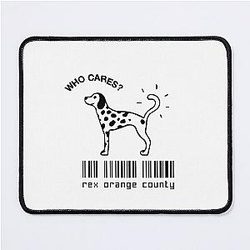 Rex Orange County Who Cares