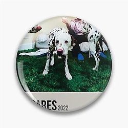 Rex Orange County Who Cares Poster Pin