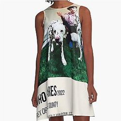 rex orange county who cares? Poster A-Line Dress
