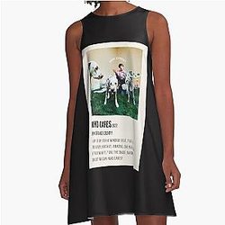Rex Orange County, Who Cares? Album Classic A-Line Dress