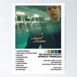 Apricot Princess Rex Orange County Album