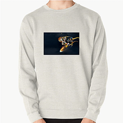 Ricky Carmichael is a legendary racer Ricky Carmichael Sweatshirts