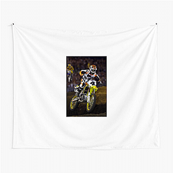 Ricky Carmichael had a perfect season Ricky Carmichael Tapestries