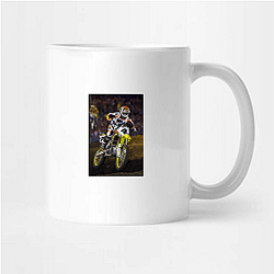 Ricky Carmichael had a perfect season Ricky Carmichael Mugs