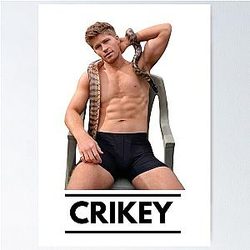 Robert Irwin CRIKEY Poster