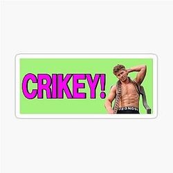 Robert Irwin Bumper Sticker
