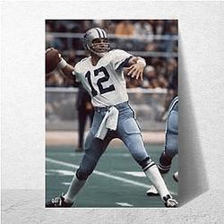 Roger Staubach Special Collection Roger Staubach Posters