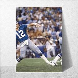 Roger Staubach Limited Collection Roger Staubach Posters