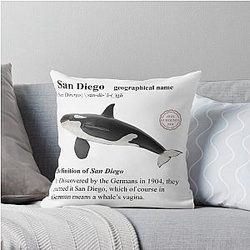 Ron Burgundy Defines Throw Pillow