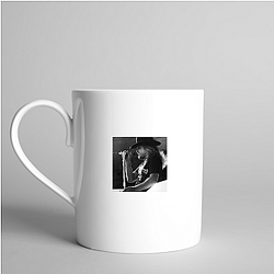 Ronnie Van Zant Collection for fans Ronnie Van Zant Mugs